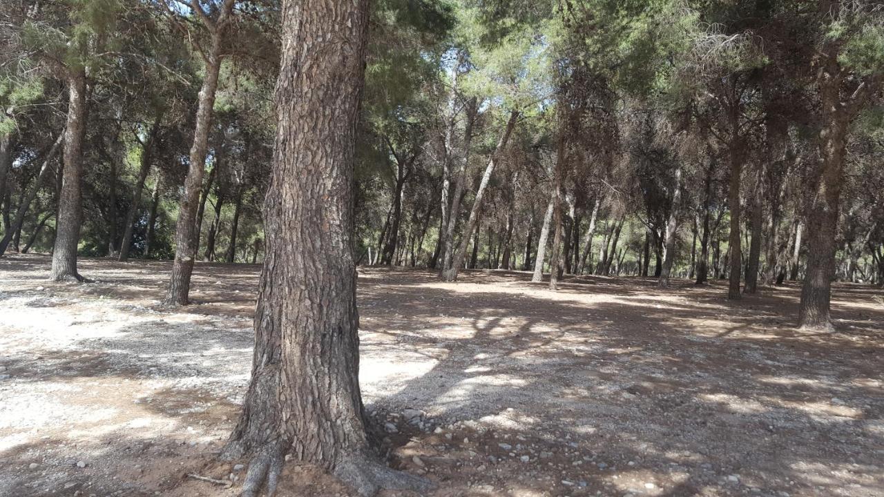 Semi-Detached Adosado Con Encanto -130 M2 - Wifi 600 Mb - Piscina Comunitaria - Patio Privado Torremolinos Luaran gambar